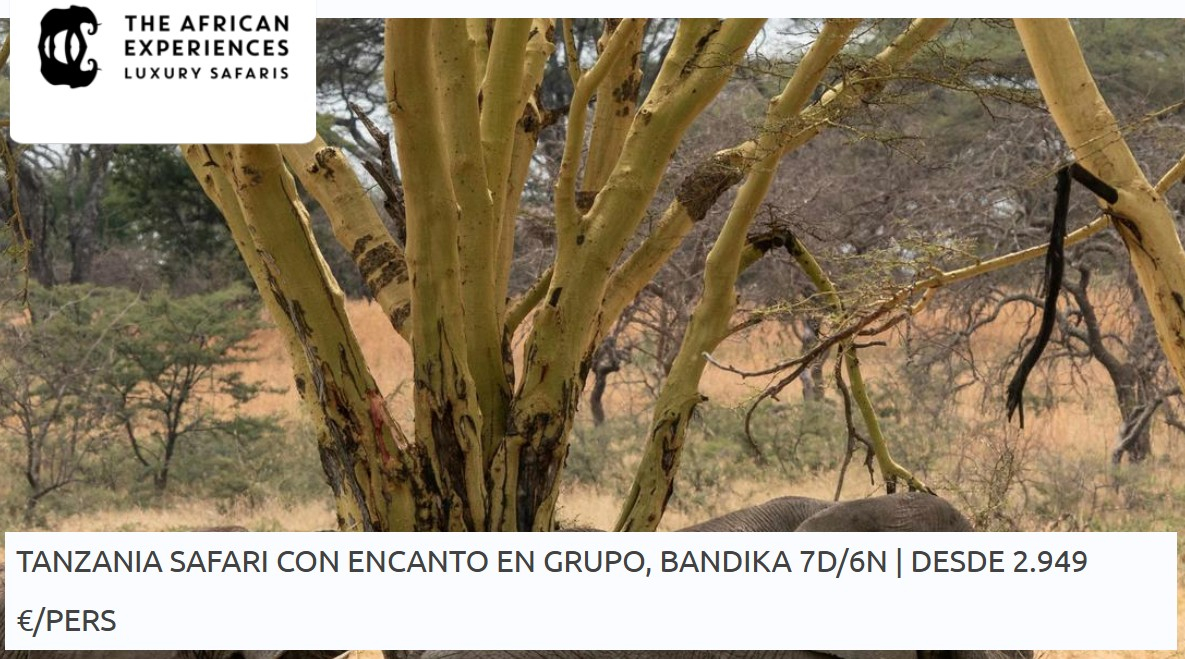 TANZANIA EN  GRUP 06 /01/ 2026